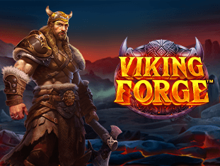 وائکنگ فورج game icon